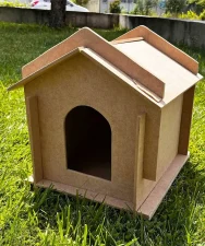 kedi kedi