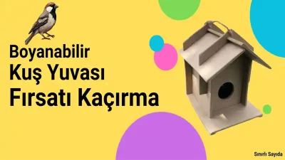 emach dizen kus evi scaled