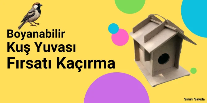 emach dizen kus evi scaled