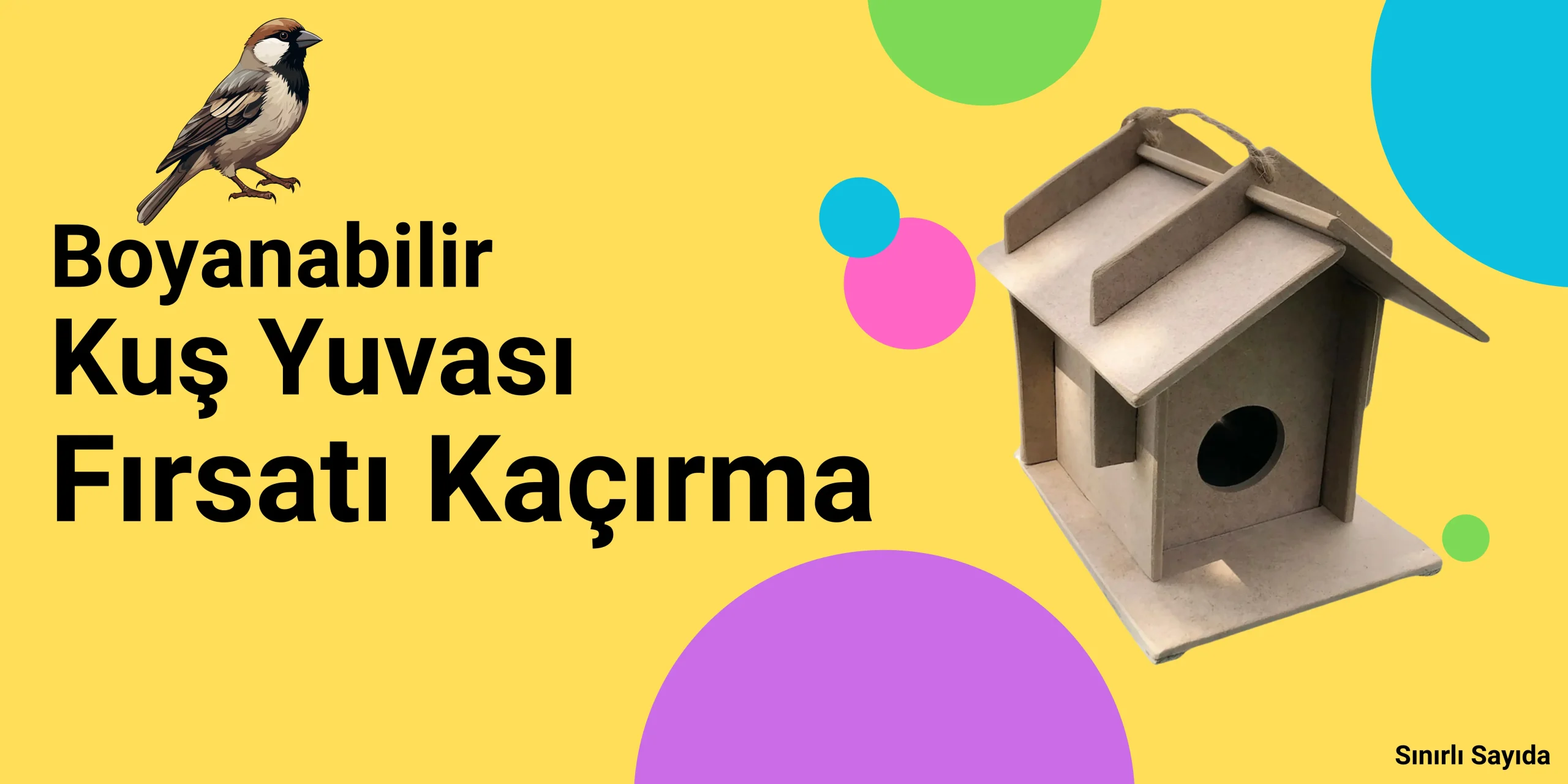 emach dizen kus evi scaled